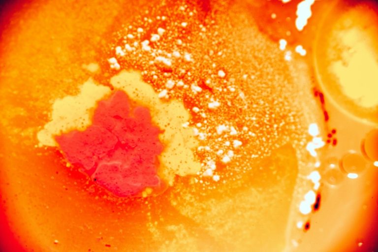 Best Body Lotions for Glowing Skin