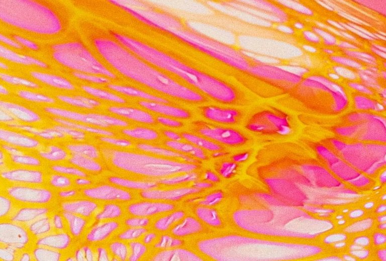Best Body Scrubs for Glowing Skin